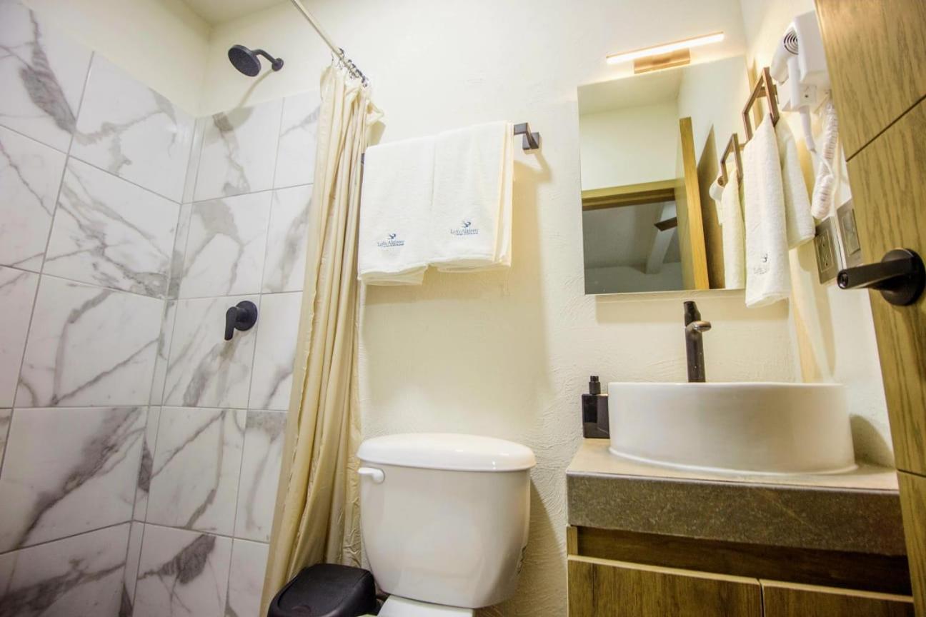 Loft Alatorre Aparthotel Гуадалахара Екстериор снимка